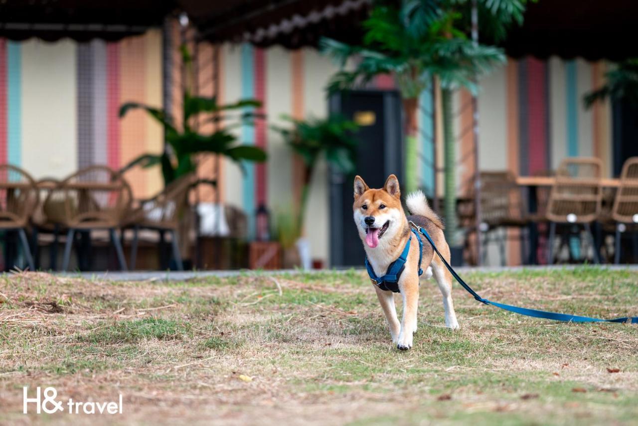 Taitung Rainbow Pet Friendly Maison Resort Kültér fotó