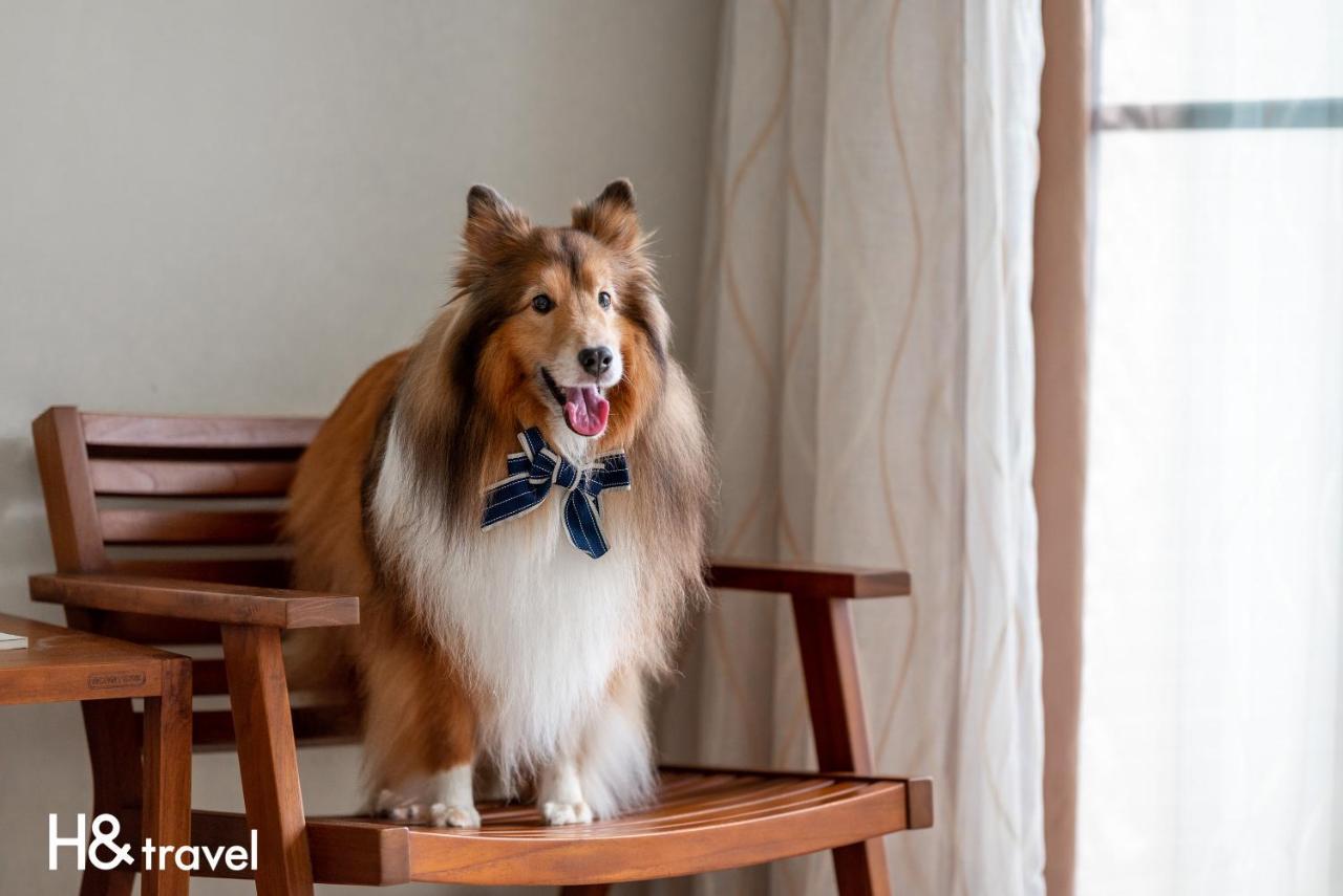 Taitung Rainbow Pet Friendly Maison Resort Kültér fotó