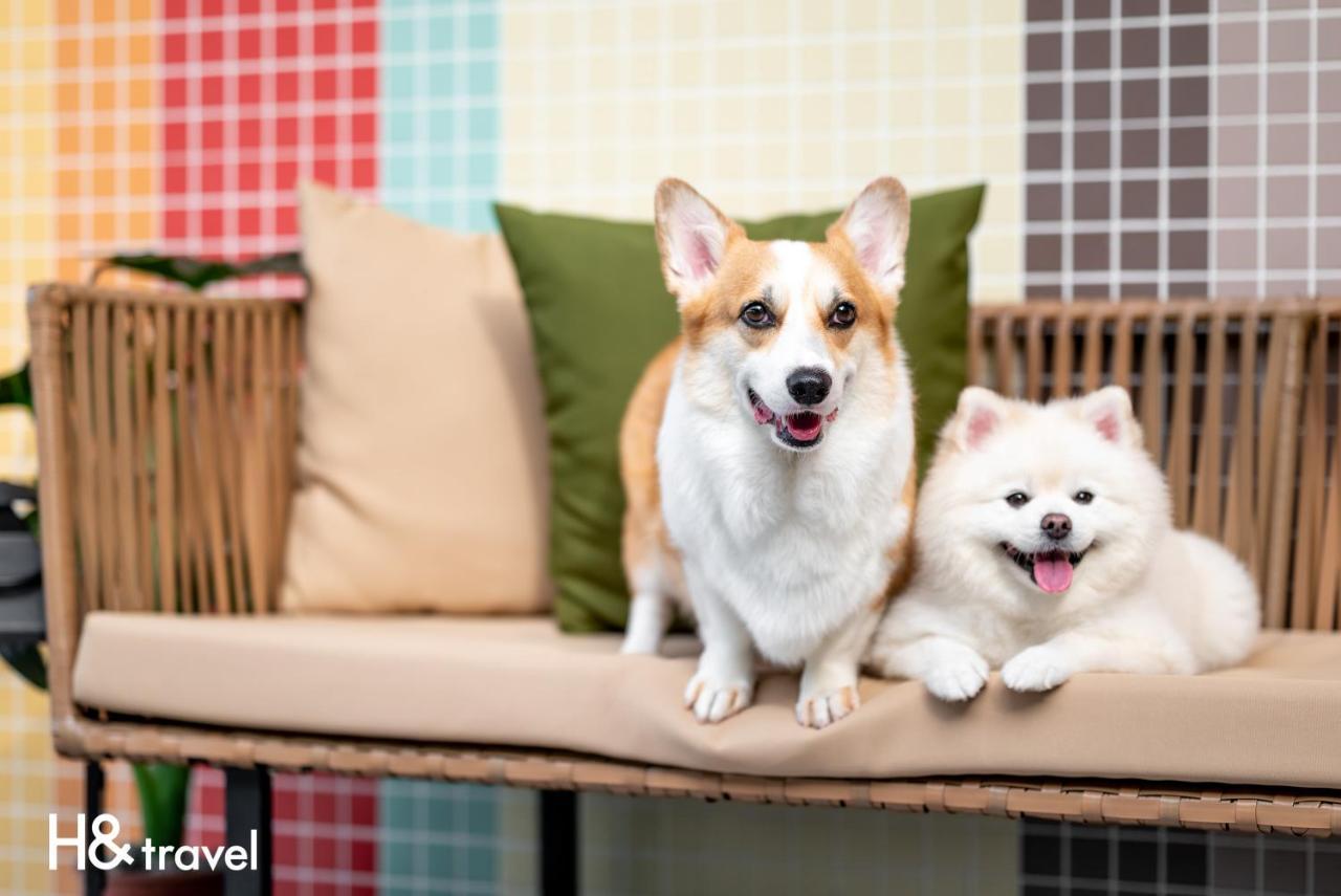 Taitung Rainbow Pet Friendly Maison Resort Kültér fotó