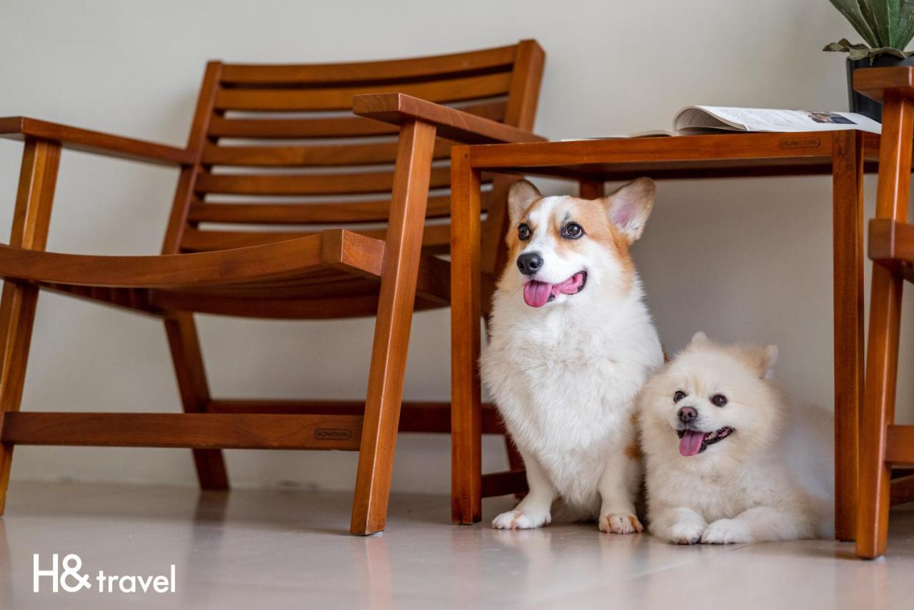 Taitung Rainbow Pet Friendly Maison Resort Kültér fotó