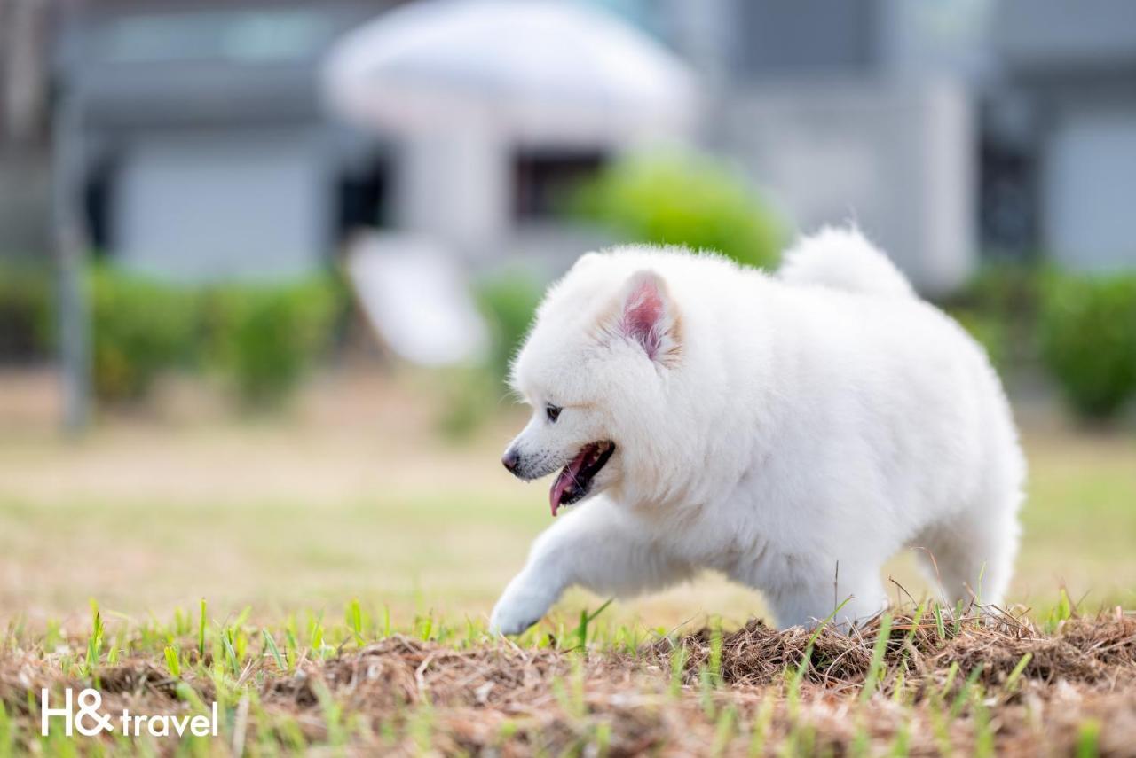 Taitung Rainbow Pet Friendly Maison Resort Kültér fotó