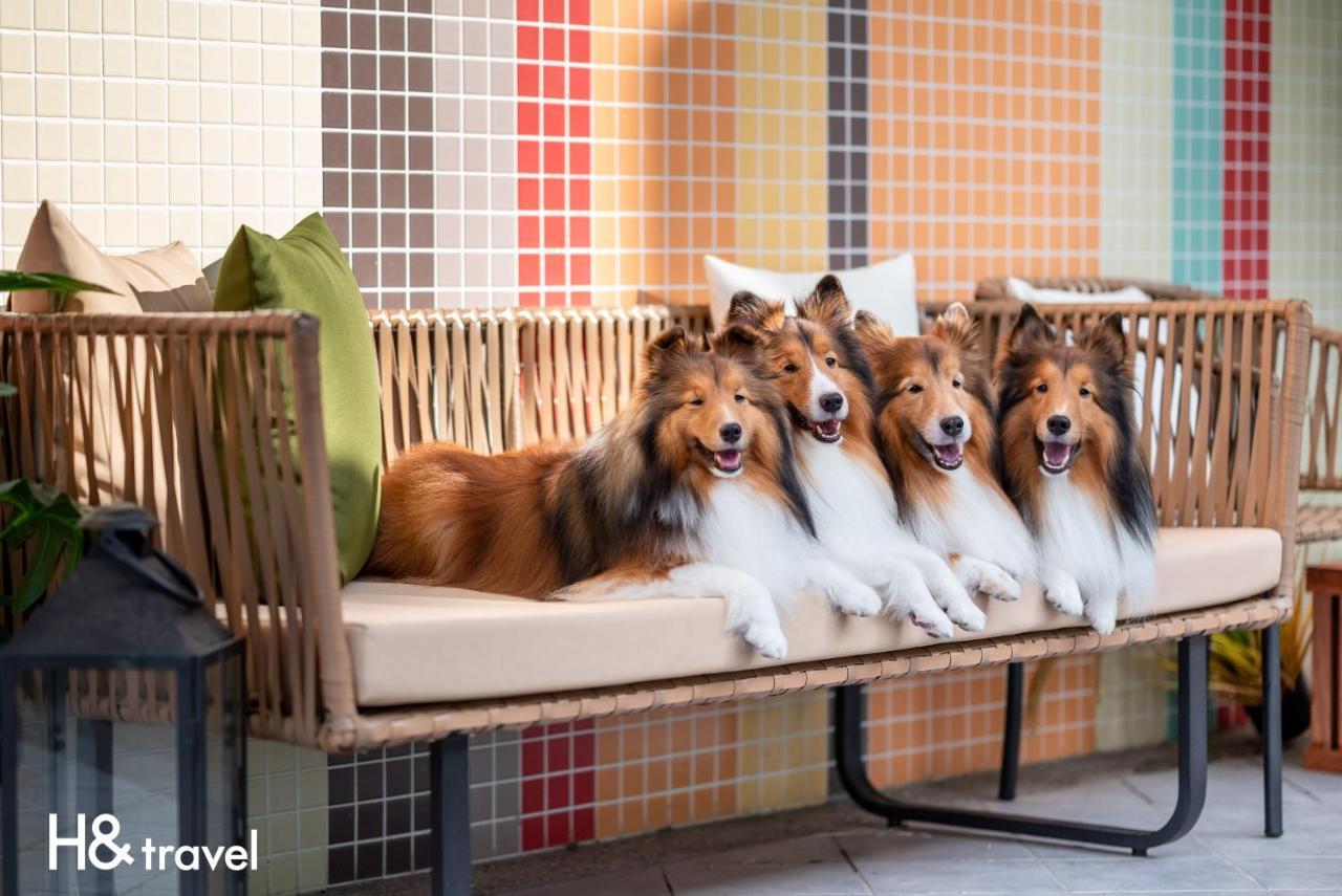 Taitung Rainbow Pet Friendly Maison Resort Kültér fotó