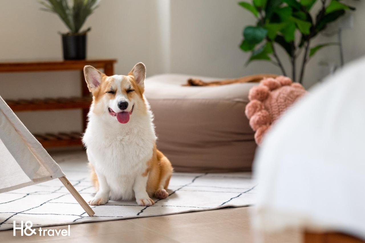 Taitung Rainbow Pet Friendly Maison Resort Kültér fotó