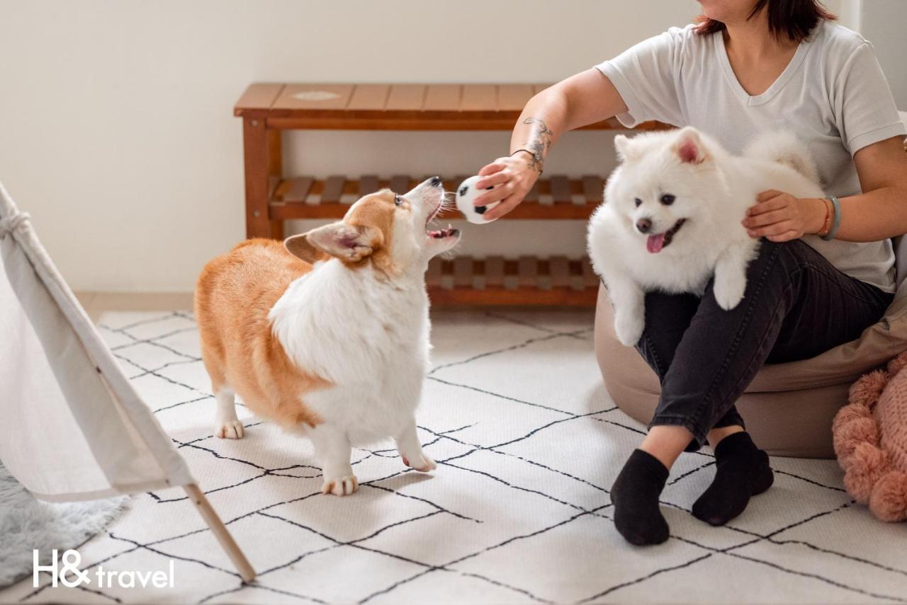 Taitung Rainbow Pet Friendly Maison Resort Kültér fotó