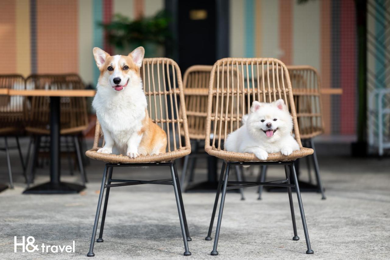 Taitung Rainbow Pet Friendly Maison Resort Kültér fotó
