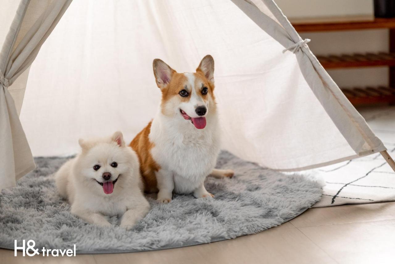 Taitung Rainbow Pet Friendly Maison Resort Kültér fotó