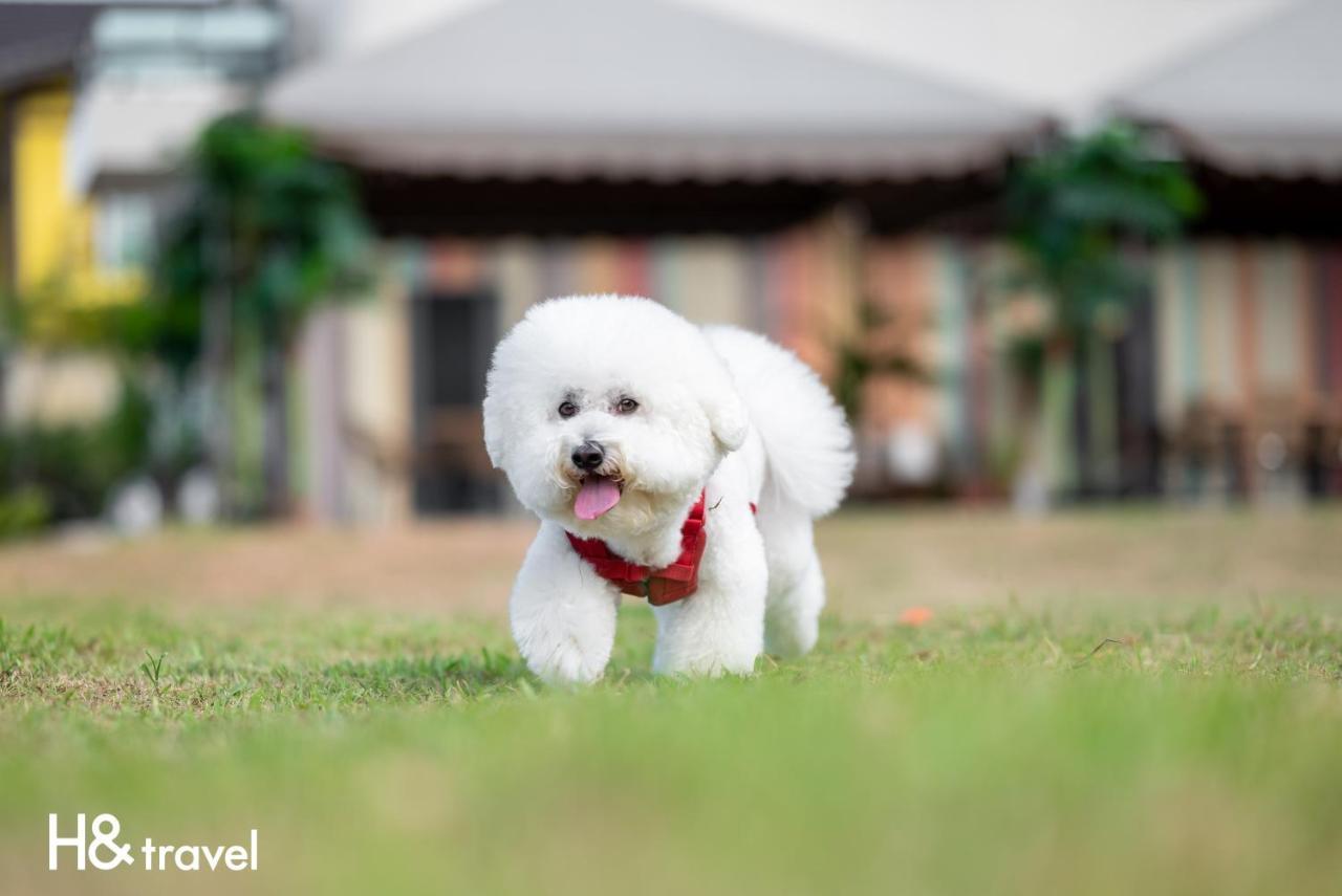 Taitung Rainbow Pet Friendly Maison Resort Kültér fotó
