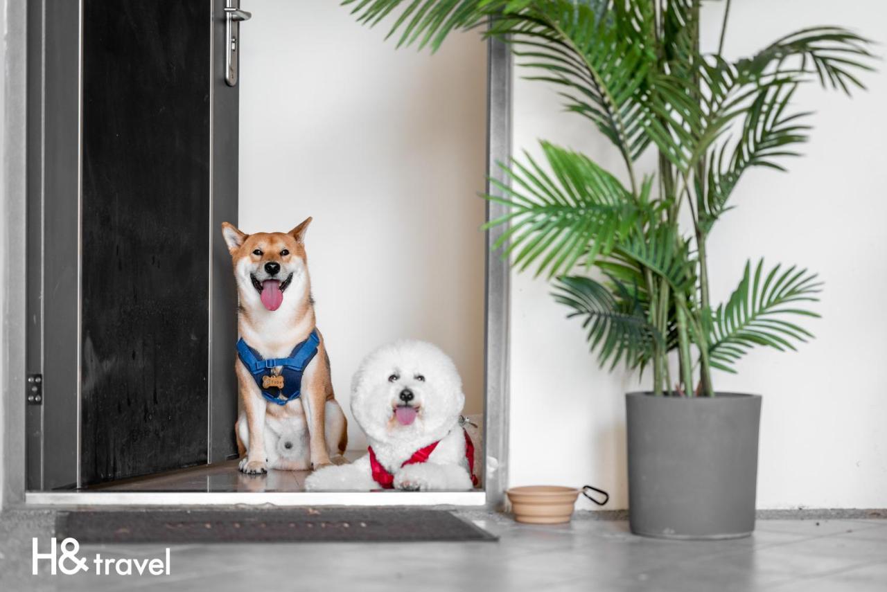 Taitung Rainbow Pet Friendly Maison Resort Kültér fotó