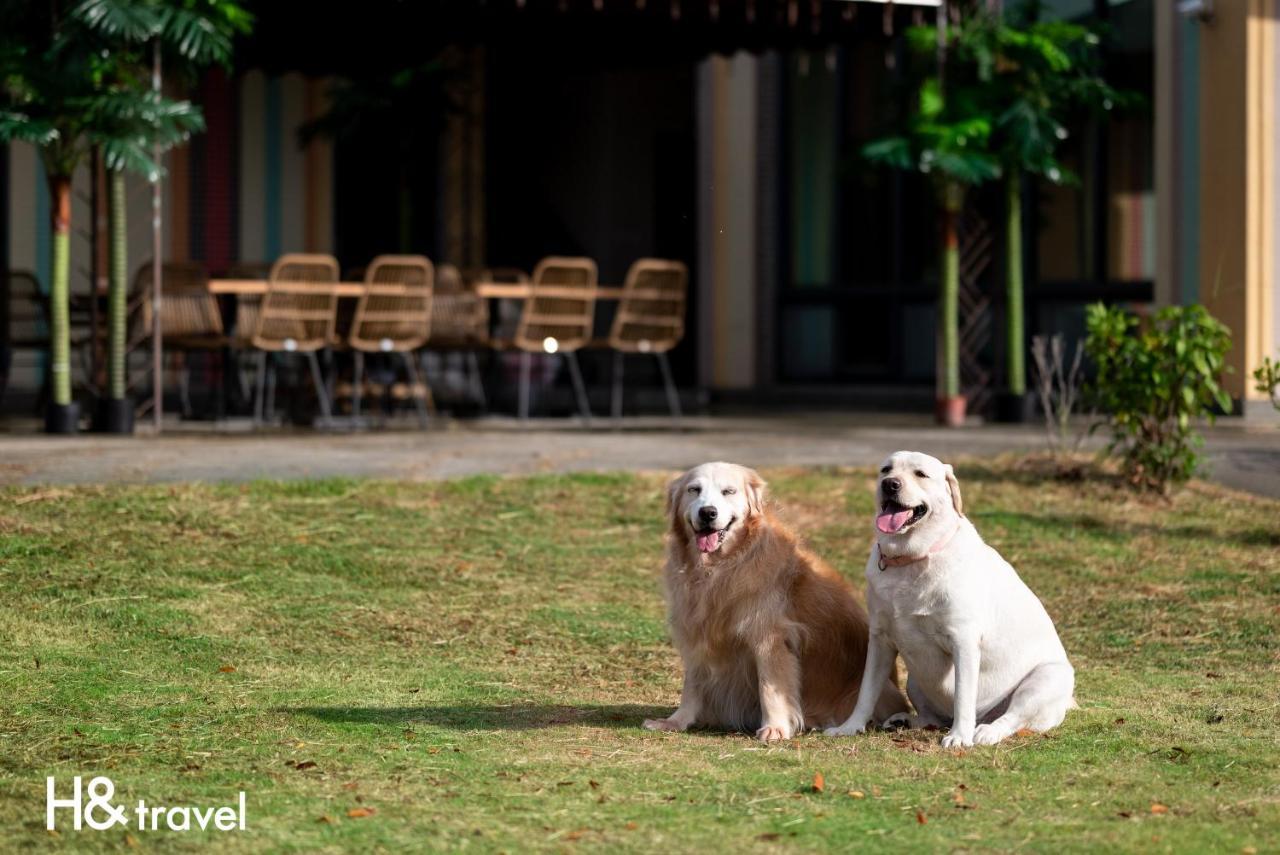 Taitung Rainbow Pet Friendly Maison Resort Kültér fotó